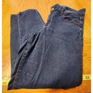 American Eagle Outfitters Hi-Rise Jegging Blue Jean Size 14 Short